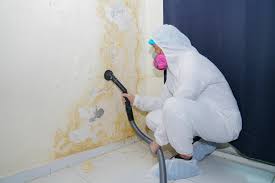 Best HVAC Mold Inspection and Cleaning  in Newkirk, OK